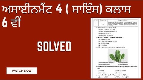 Assignment 4 Science class 6th Punjabi medium. Solved MCQ ( CEP Worksheet 4 ).