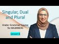 Unlocking the secrets of arabic grammar understanding singular dual and plural
