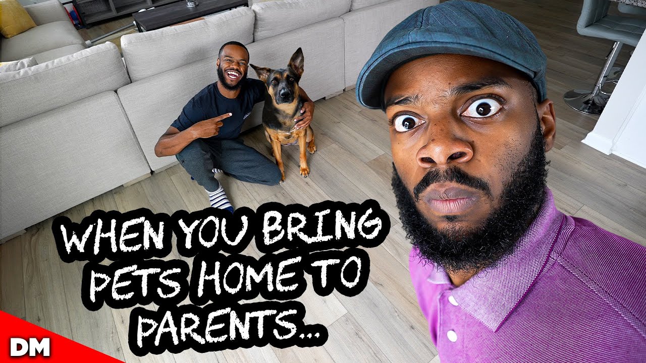 WHEN YOU BRING PETS HOME TO PARENTS - YouTube