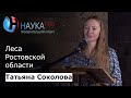 Татьяна Соколова  - Леса Ростовской области