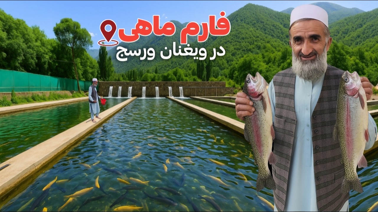بزرگترین فارم ماهی در دره‌میان شهر ورسج ، گزارش از فارم پرورش ماهی قزل آلا در شمال شرق افغانستان