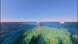 Engy Queen Elite vip boat trip Snorkeling To ras mohamed white island with www.Excursionsinegypt.com