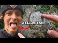 Saving Sea Animals | I Tasted a Jellyfish