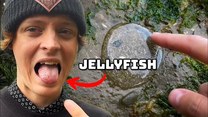 Saving Sea Animals | I Tasted a Jellyfish