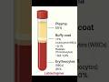 blood components #science #dmltstudent #medlab #viral