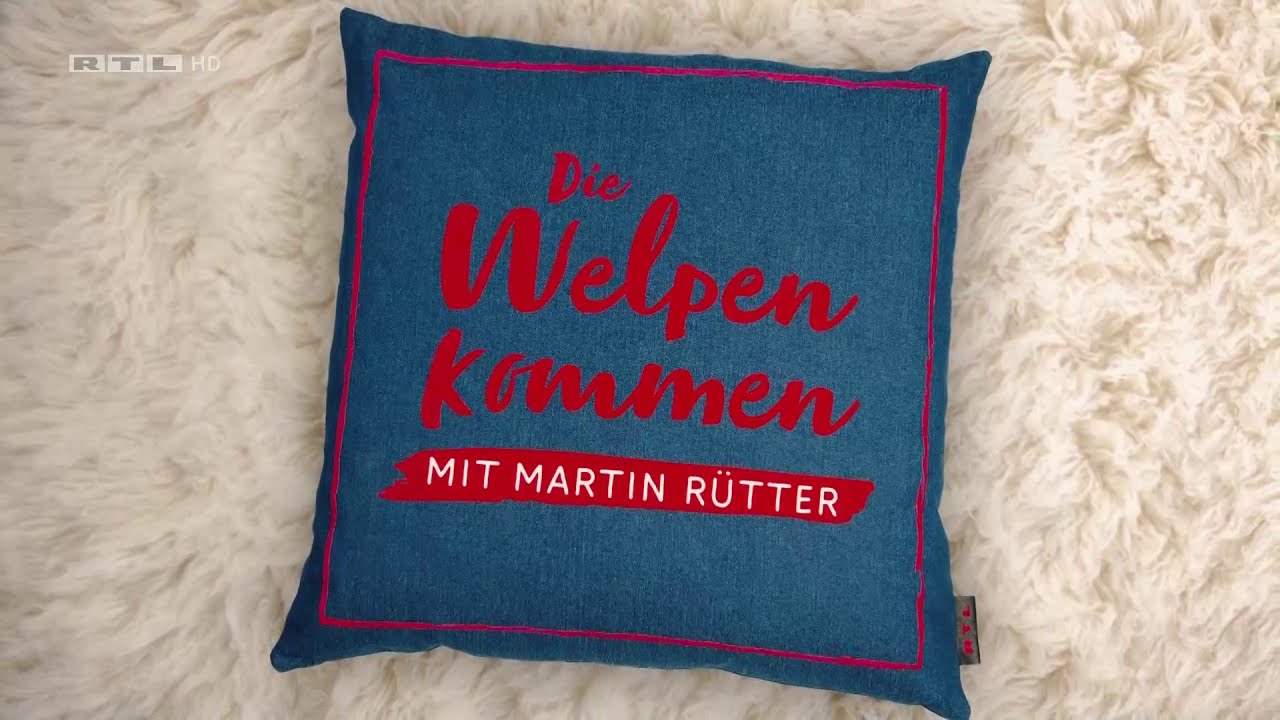 Martin Rütter Die Welpen Kommen Youtube Die Welpen kommen mit Martin Rütter Vorschau für den 10.01.2021 (RTL