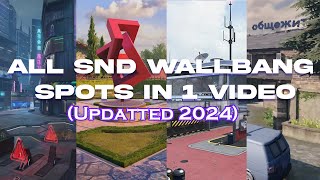 All RANKED S&D Wallbang Spots in 1 Video