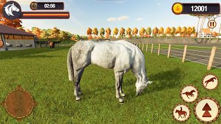 My horse Herd Care Simulator 1 screenshot 5