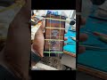 Vivo Display #shortvideo #shortvideoviral #shortsvideo #viral #viralvideo