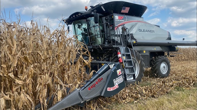 So Just How Good Is Our New Gleaner Combine? Let'S Check - Youtube