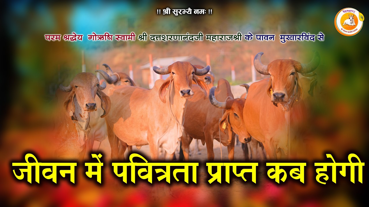 जीवन में पवित्रता प्राप्त कब होगी? सच्ची पवित्रता कैसे मिलेगी परम श्रद्धेय गोऋषि पथमेड़ा महाराजश्री