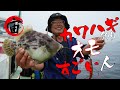 カワハギ釣り【オモすごい人】中高年アングラーにおすすめする宙釣りの極意!?