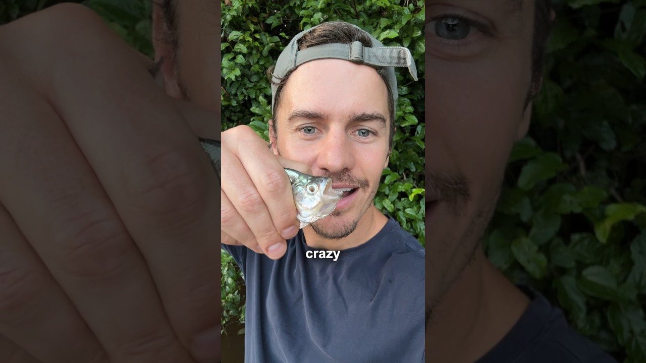 Hunting for CRAZY CREATURES in the Amazon!