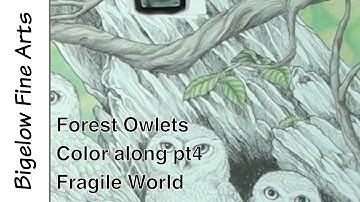 Polychromos color along and lesson - Owlets pt 4: Fragile World