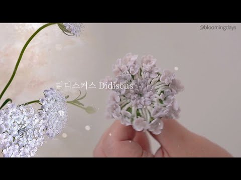 디디스커스/앙금플라워 꽃짜기 Didiscus / blue <strong>lace</strong>  flower / flower piping /make flower cake