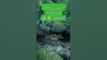 ماتيسر من سوره الشعراء تلاوة خاشعة مؤثرة مبكية 😭🙏😭😭