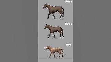 Quadruped animation study - Horse walk cycle breakdown 🐎