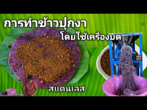 ข้าวปุกงา สูตรไทใหญ่ การทำข้าวปุกงาด้วยเครื่องบดสแตนเลส นุ่ม เหนียว ไม่แข็ง ข้าวเหนียวจากพม่า