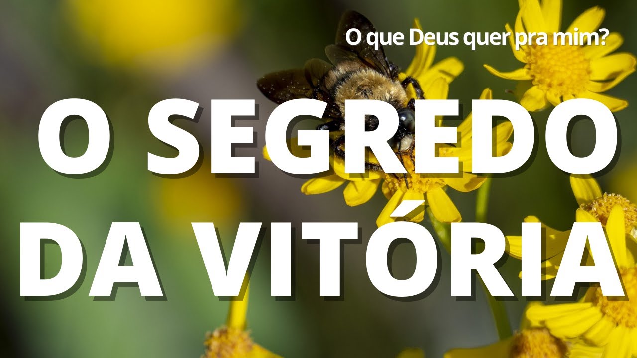 O SEGREDO DA VITÓRIA | Versículo do Dia | O que Deus quer pra mim? - YouTube