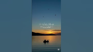 وما توفيقي إلا بالله | تلاوة خاشعة تبعث الطمأنينة ✨