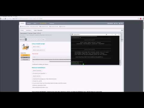 R4P3.net teamspeak Crack tutorial