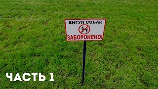 Таблички - "выгул собак запрещен" законны? Таблички - "выгул собак запрещен" законны?