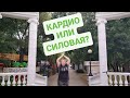 КАРДИО И СИЛОВАЯ ТРЕНИРОВКА