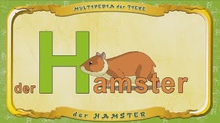 Multipedia Der Tiere. Buchstabe H - Der Hamster