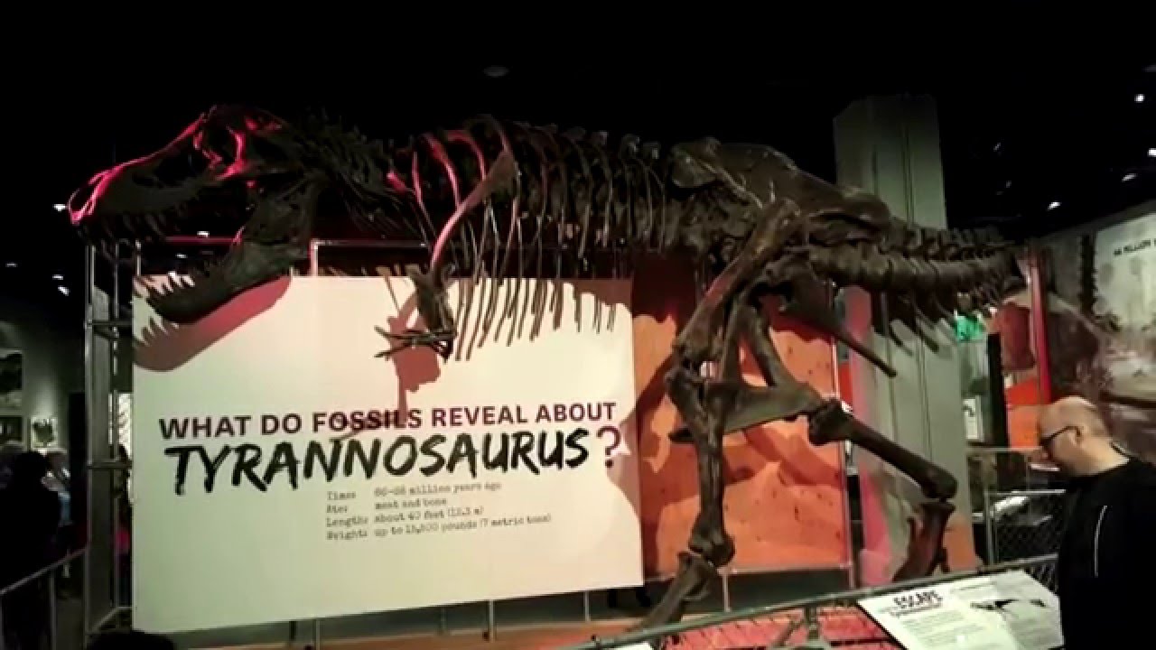 Can You Sell Textbooks/School Related Books Year Round?