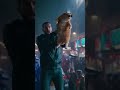 The Orange Cat Incident