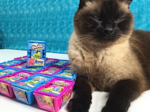 Shopkins
