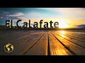 EL CALAFATE | TODO LO QUE TENES QUE SABER PARA VISITAR ESTA CIUDAD ✅