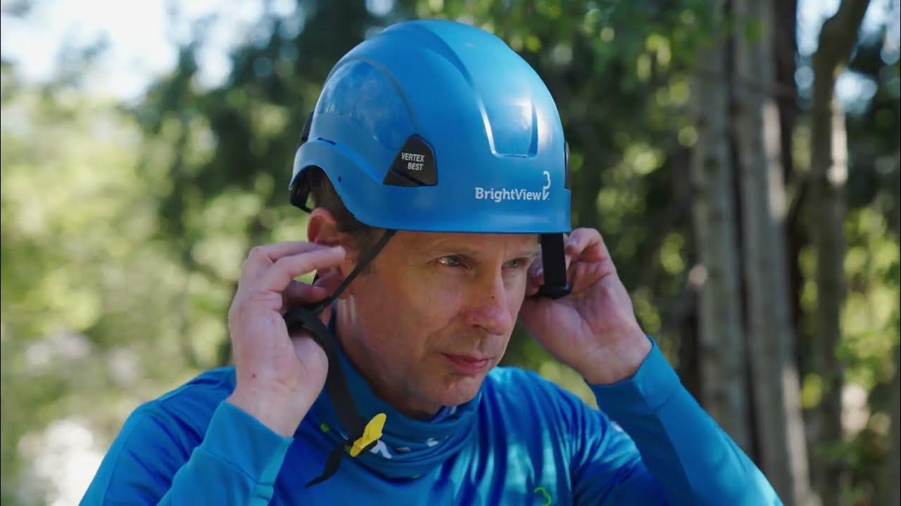 BrightView Tree Care Services YouTube