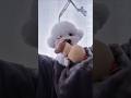 조금만 조금만 귀여우랬잖아 #비숑#강아지