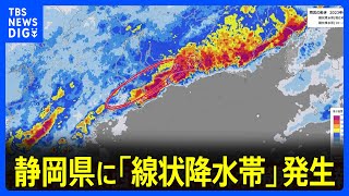 静岡県に「線状降水帯発生情報」発表　大雨による水害や土砂災害などの危険度が急激に高まっているおそれ｜TBS NEWS DIG