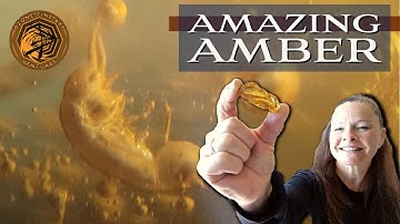 Amazing Amber: Fossil Insects and Hidden Worlds Millions of Years Old!