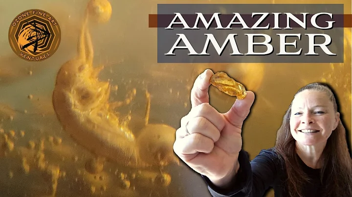 Amazing Amber: Fossil Insects and Hidden Worlds Millions of Years Old! - DayDayNews