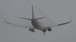 Alaska Flight AS138 | Boeing 737-990(ER), (N492AS) | Arrival from San Francisco (SFO) | 10/21/2025