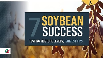 7- SOYBEAN SUCCESS - Testing moisture levels, RAGT best harvest tips!