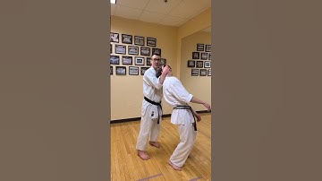 Uechi Ryu Practical application #karate #uechiryu #bunkai #practical @StrykeTeamOfficial