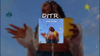 Ayra Starr - Ditr Instrumentalremake By Pizole Beats