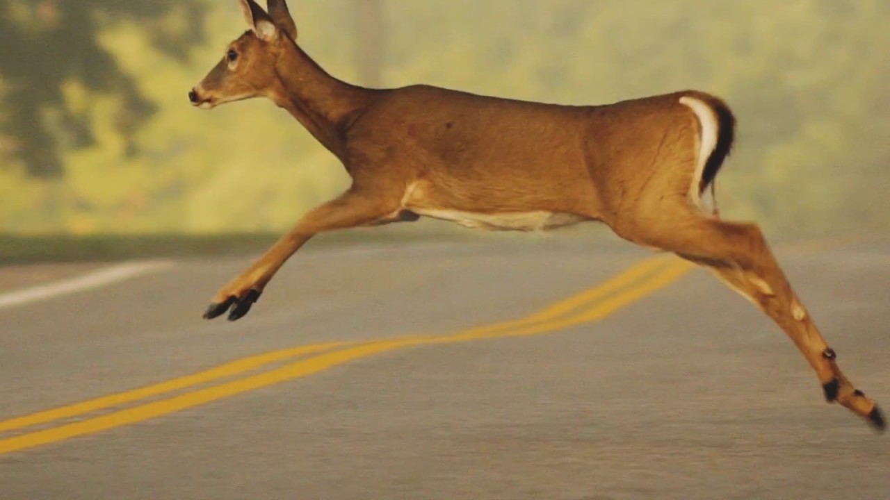 Rochester NY Video Production - Vertek Media 2017 REEL