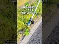 これなら怖くない！掃除機みたいに草刈りできちゃうグランドトリマー！ #shorts