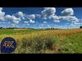 Quiet Nature Sounds at Countryside Fields - 4K Video