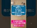 【乙女座】大転換点!4/26天王星双子座入り🌟乙女座の皆様へのポイントを1分で解説😃 #shorts #乙女座 #2026 #天王星 #双子座 #占い #占星術