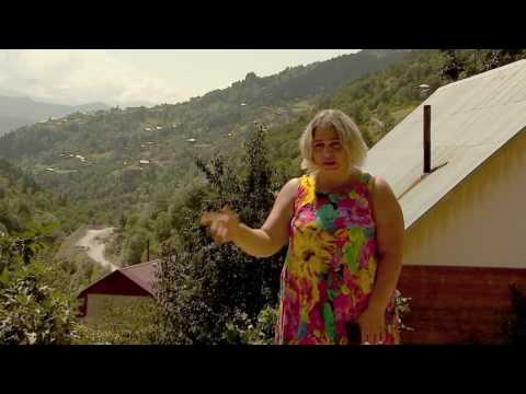 აჭარა - ჰესის მშენებლობით გამოწვეული პრობლემები ხულოში - კითხვა