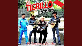Video thumbnail of "El Tigrillo Palma - Pobre Rico"