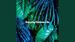 Cool Ambiance for Knowing Essentials