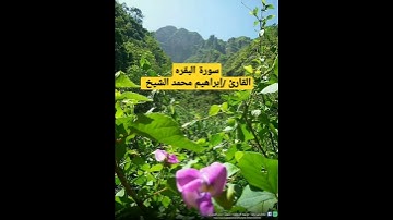 تلاوة خاشعة وممتعه وهادئه من سورة البقرة. للقارئ /إبراهيم محمد الشيخ