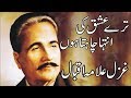 Tere Ishq Ki Inteha Chahta Hoon | Allama Iqbal Poetry In Urdu Love Whatsapp Status Video Download Free